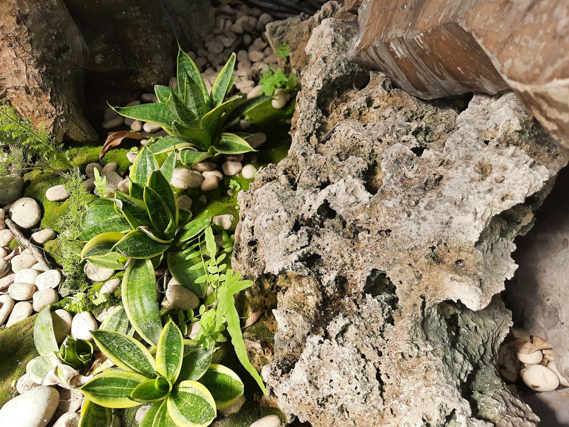 woman wearing yellow long-sleeved dress under white clouds and blue sky during daytime
