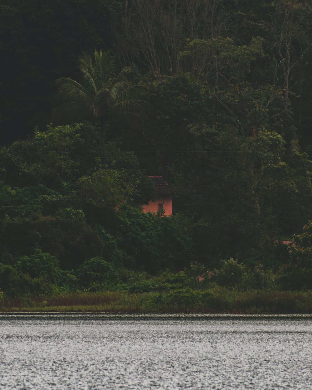 a boat floating on top of a lake next to a lush green forest