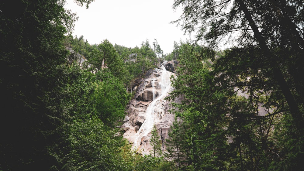 a waterfall in the middle of a forest