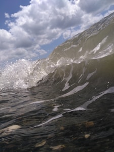 Cera Surf