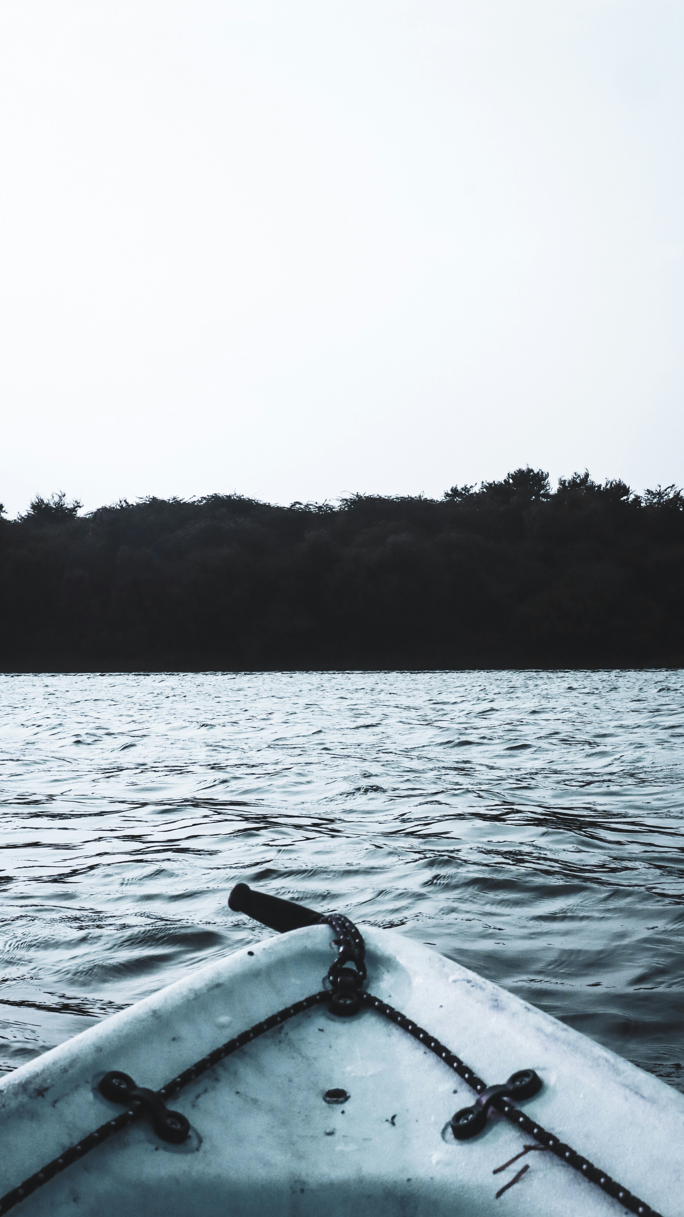 Photo by vedangtandel