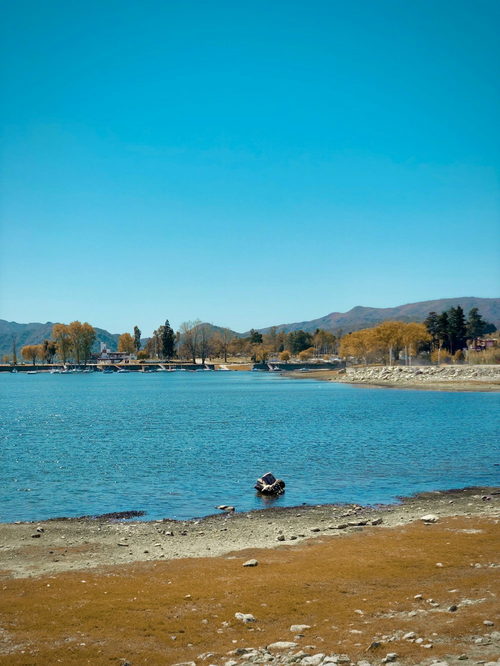 a boat sitting on the shore of a lake