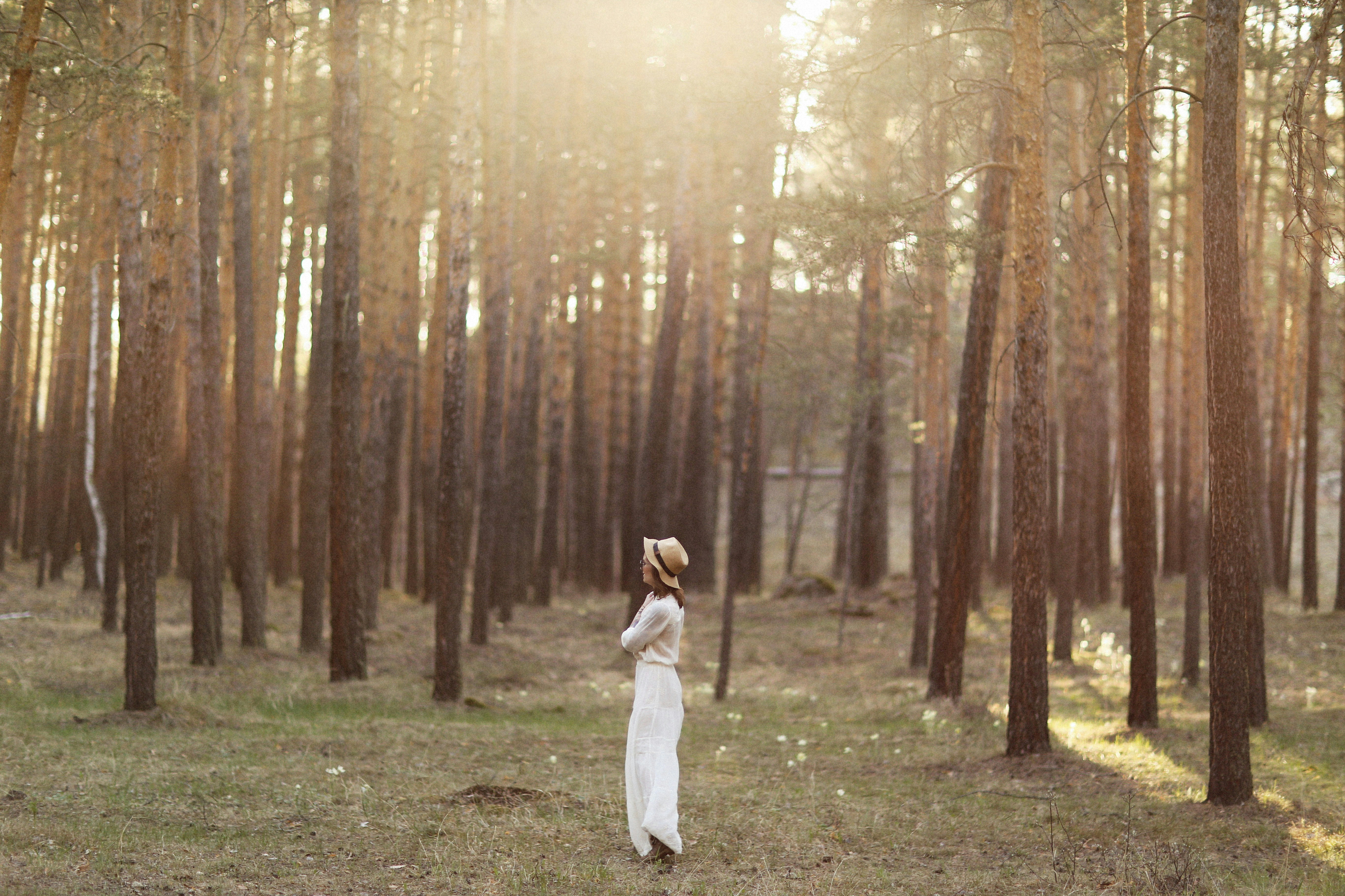 Photo by alexeydemidov