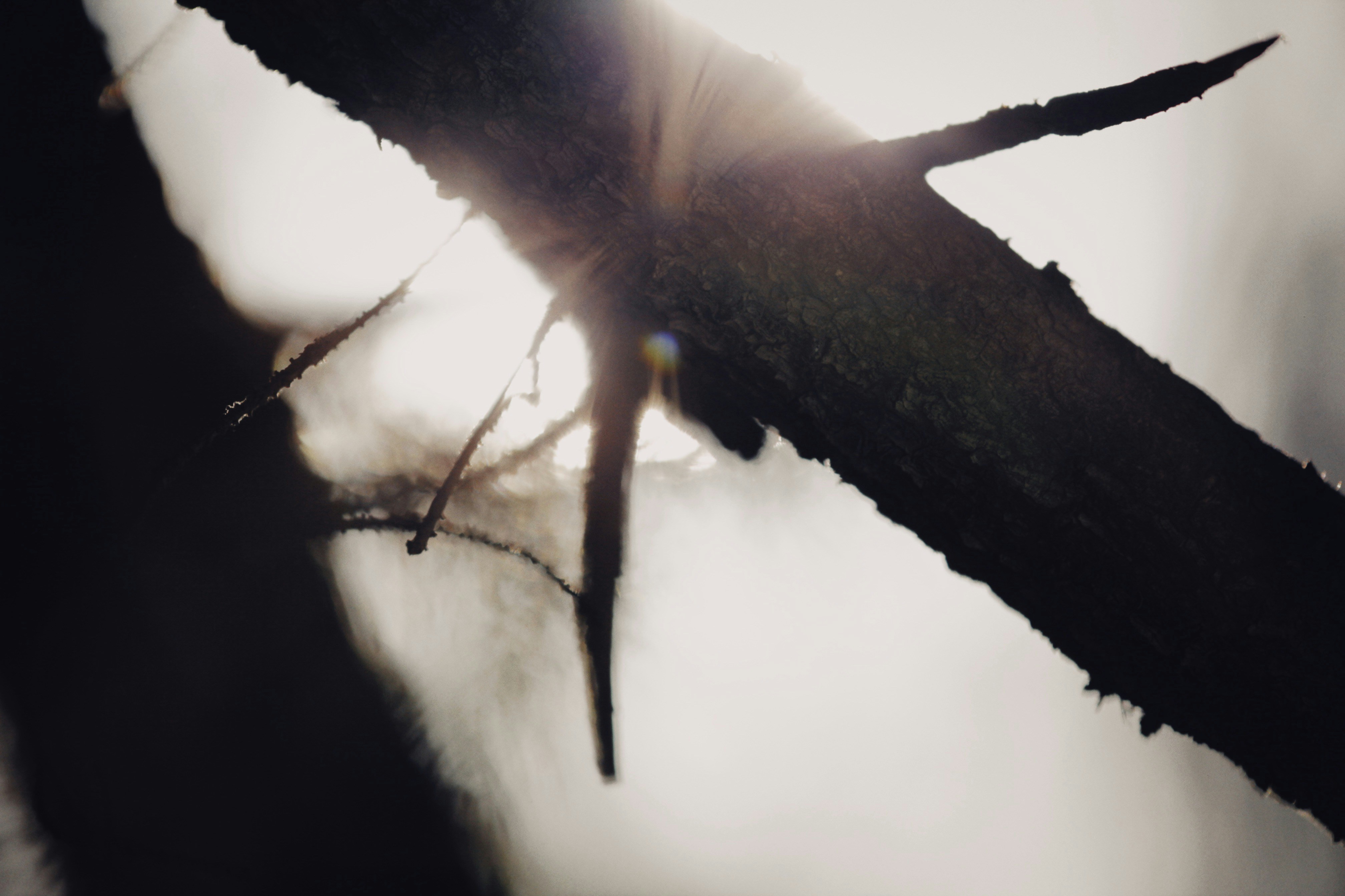 Photo by alexeydemidov