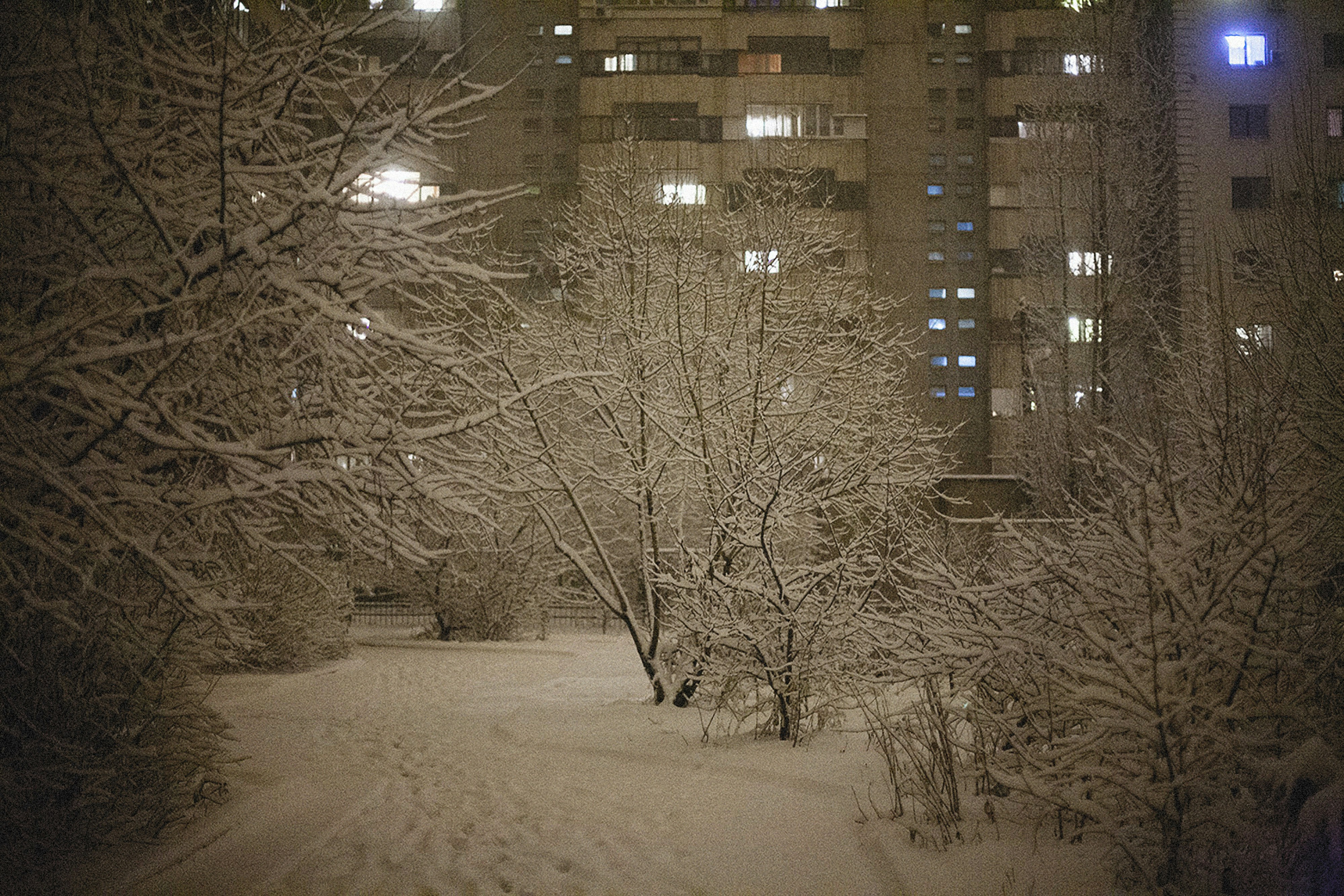Photo by alexeydemidov