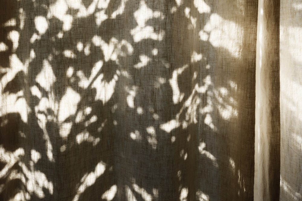 a shadow of a plant on a curtain