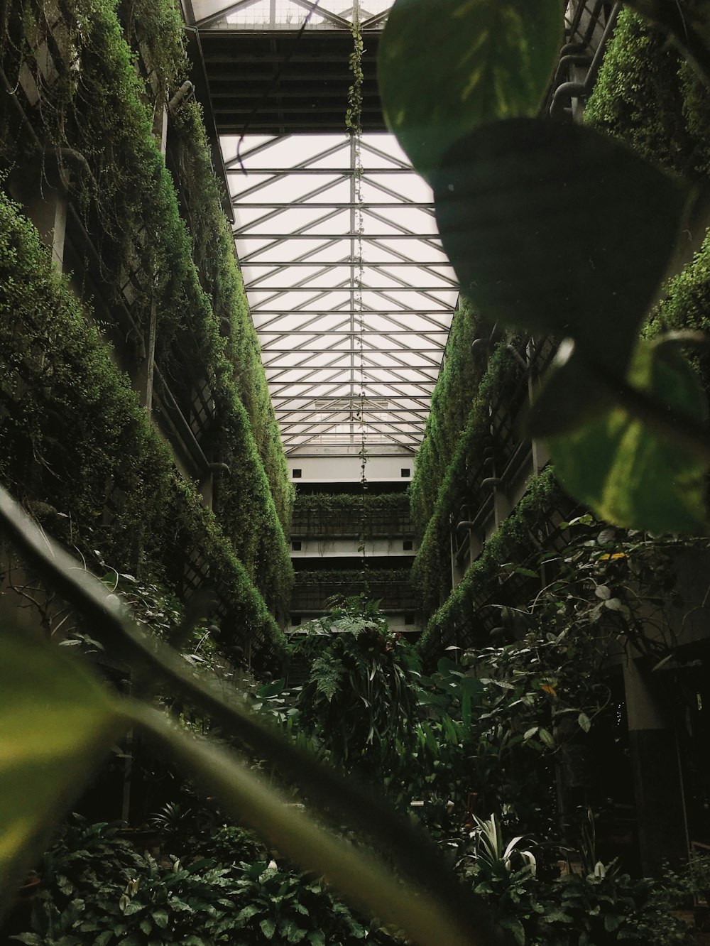 a building with a lot of plants growing inside of it