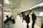 A diverse group of commuters smiling while waiting at a modern urban transit station.