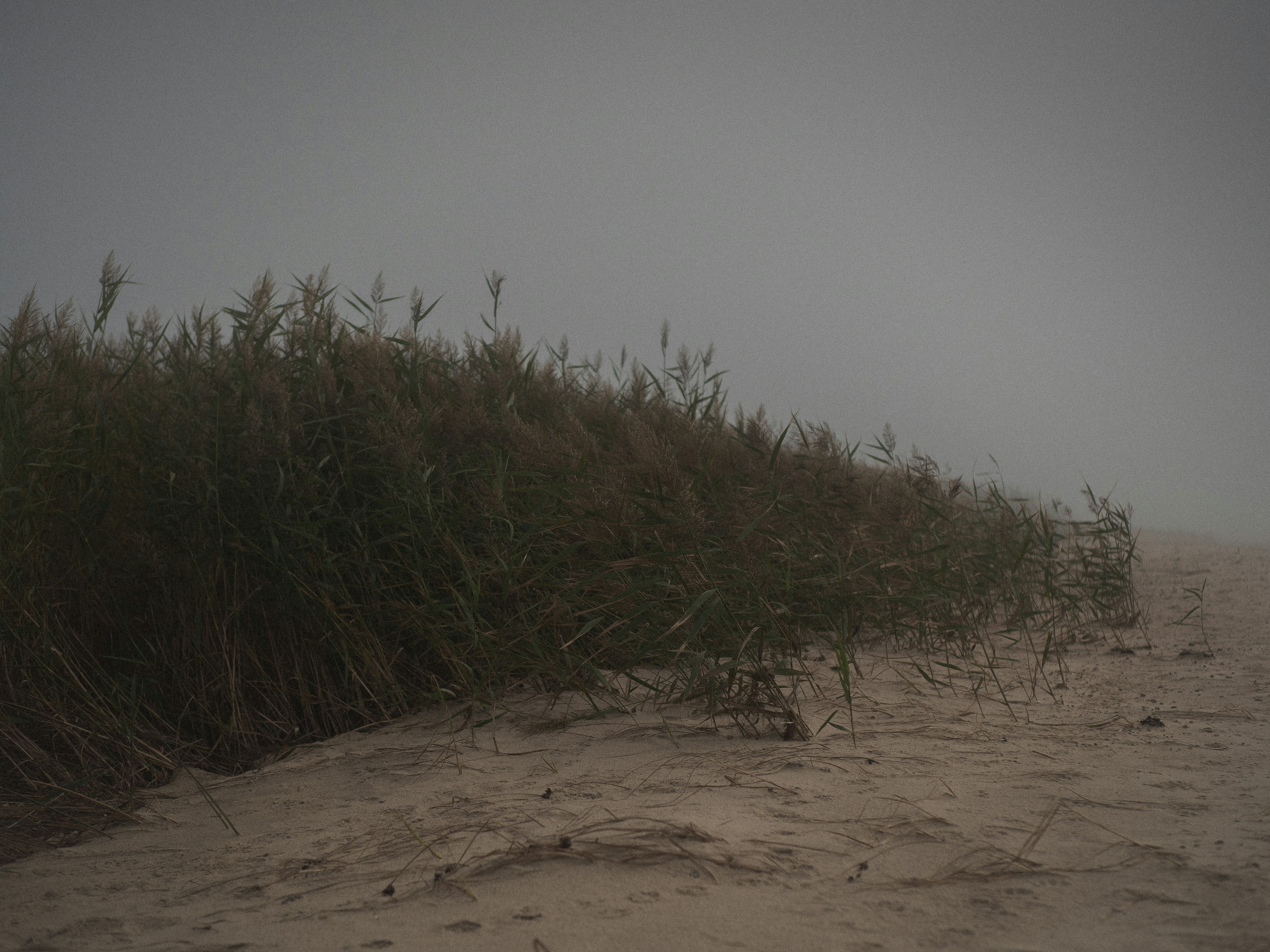 Photo by alexandraslow