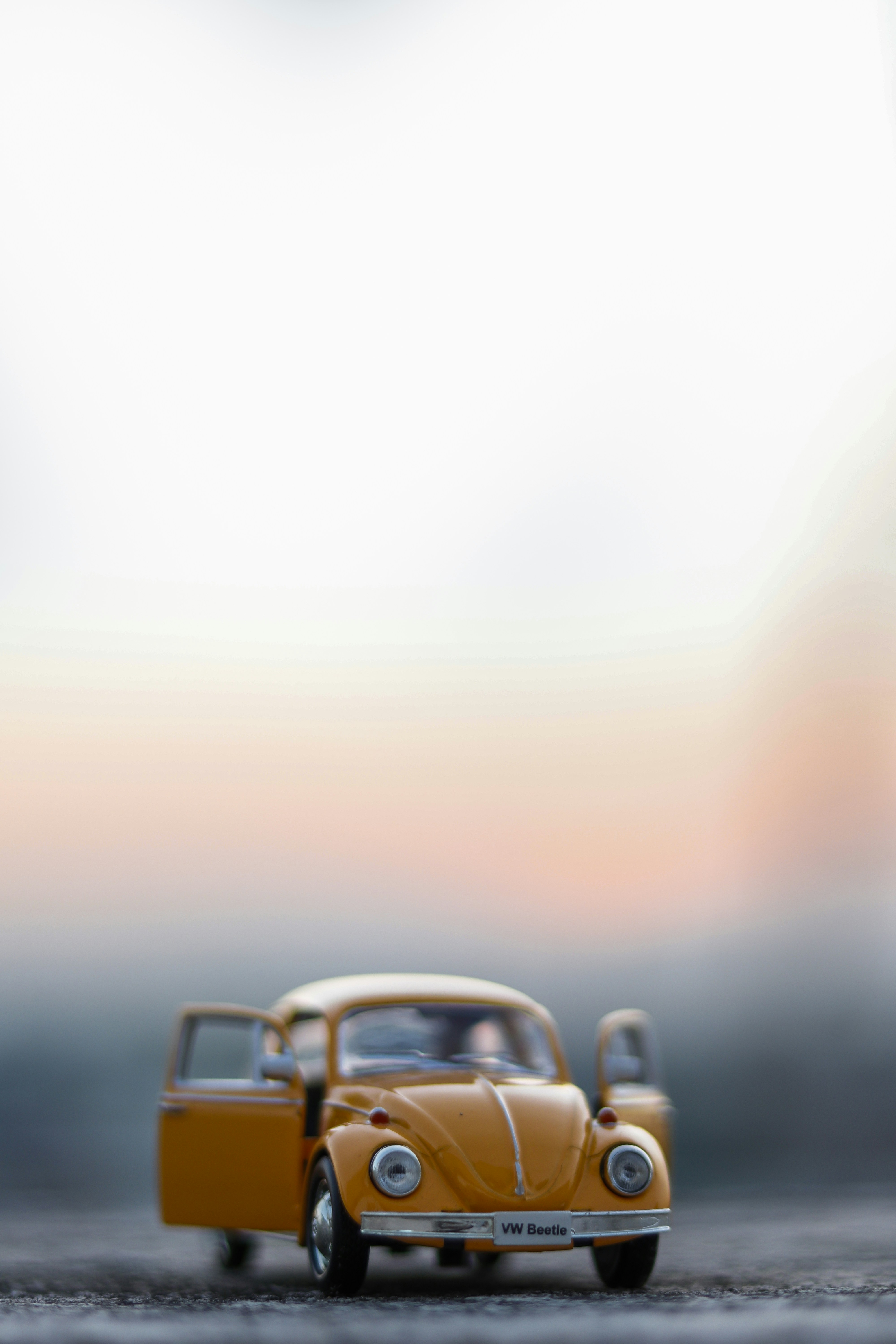 Photo by samrajdavid