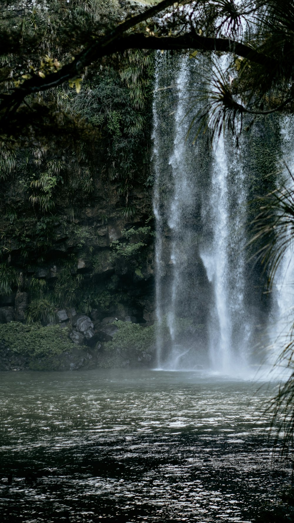 Ein großer Wasserfall ist durch die Äste eines Baumes zu sehen