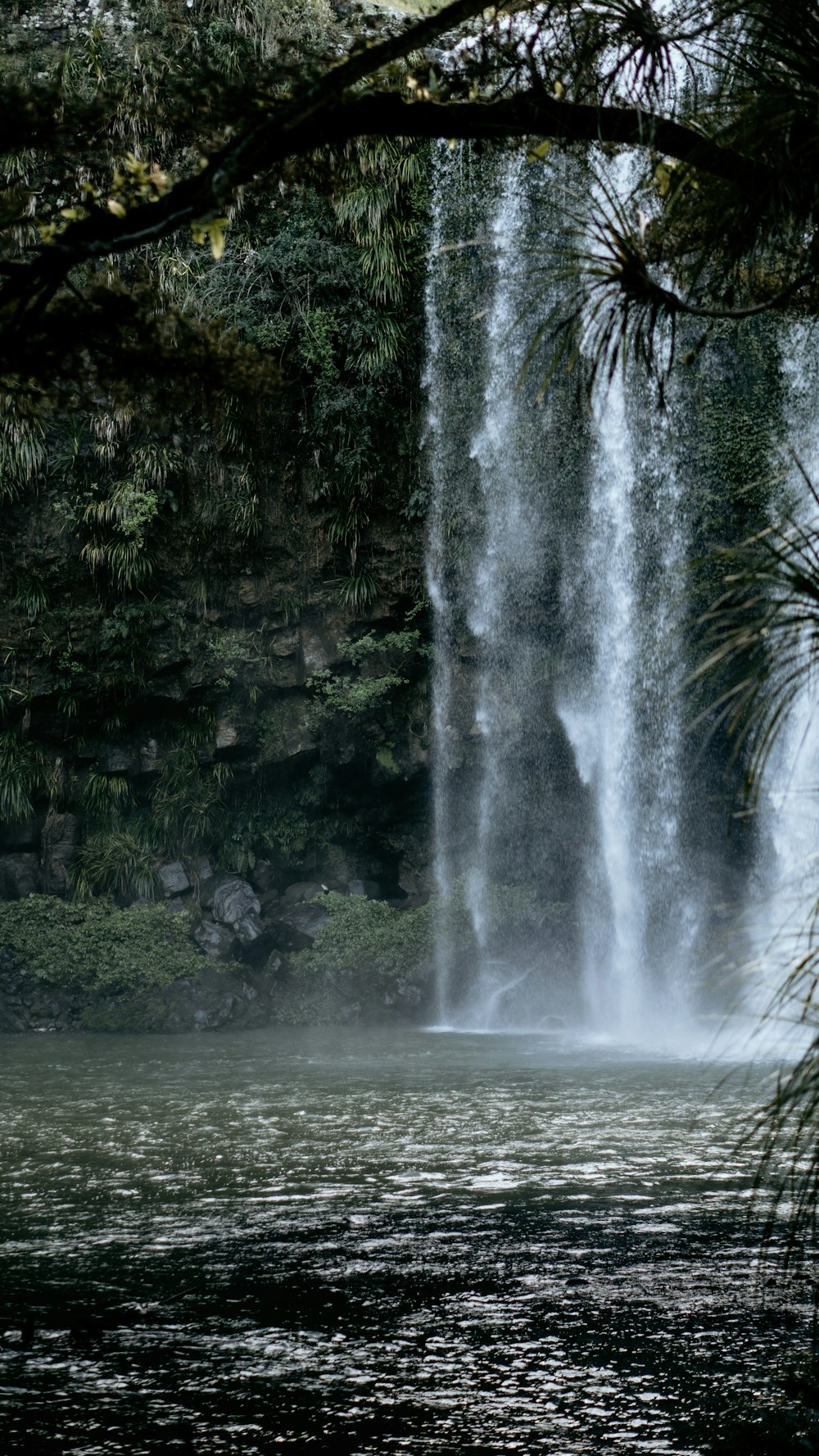 a large waterfall is seen through the branches of a tree