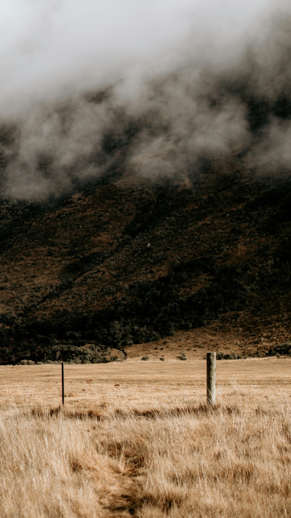 a field with a fence and a mountain in the background