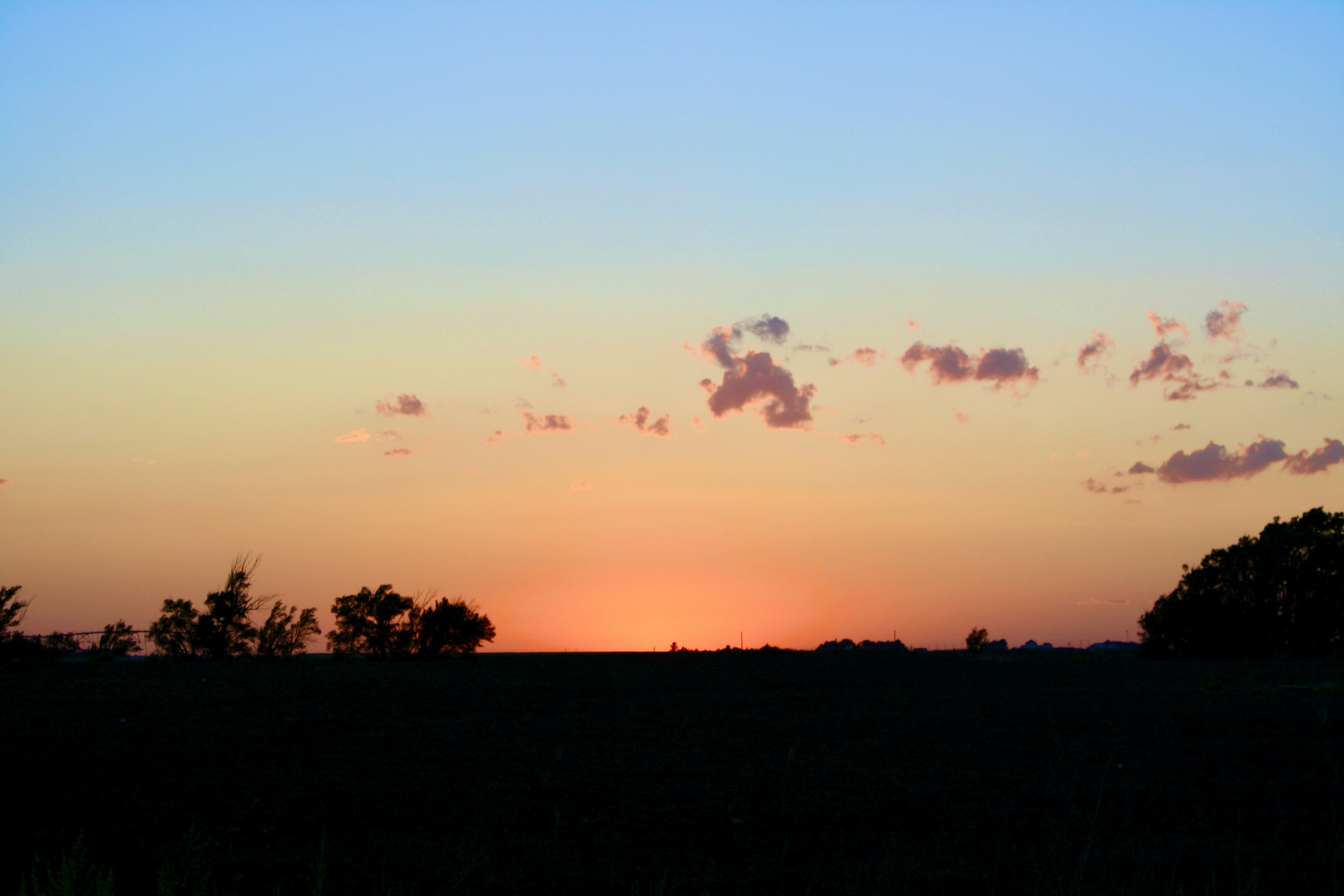 Photo by sandytoes2020