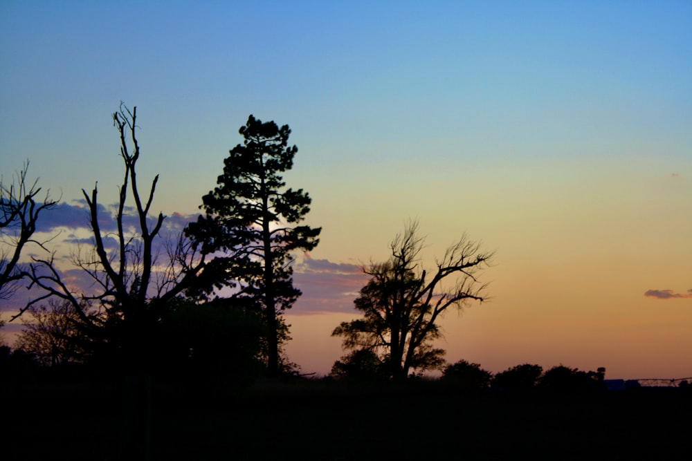 the sun is setting behind some trees