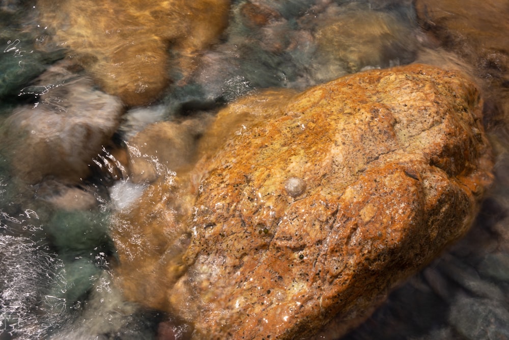 a close up of a rock in a body of water