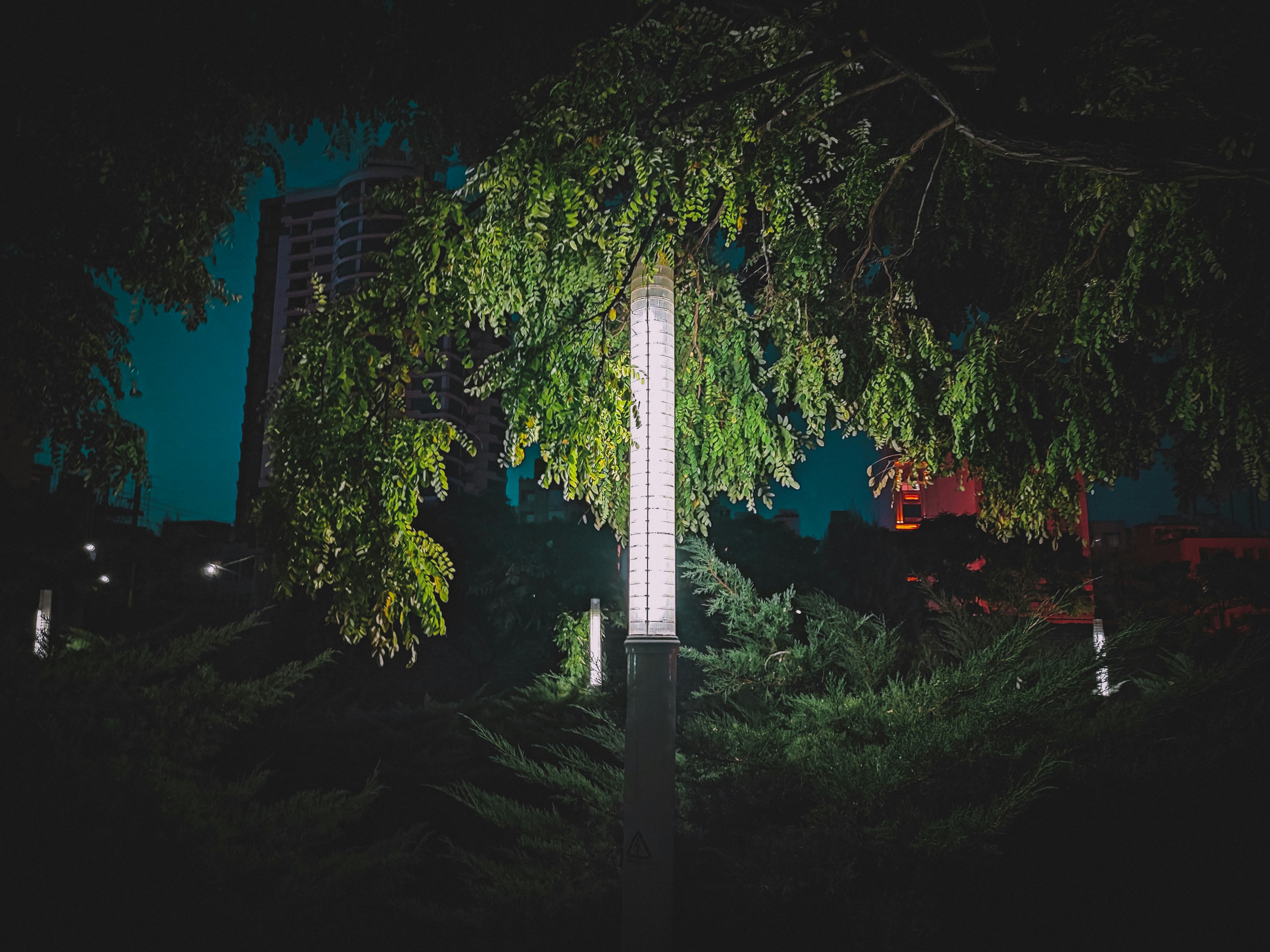 a tall clock tower sitting next to a lush green forest