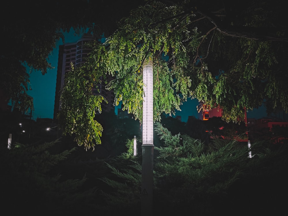 a tall clock tower sitting next to a lush green forest