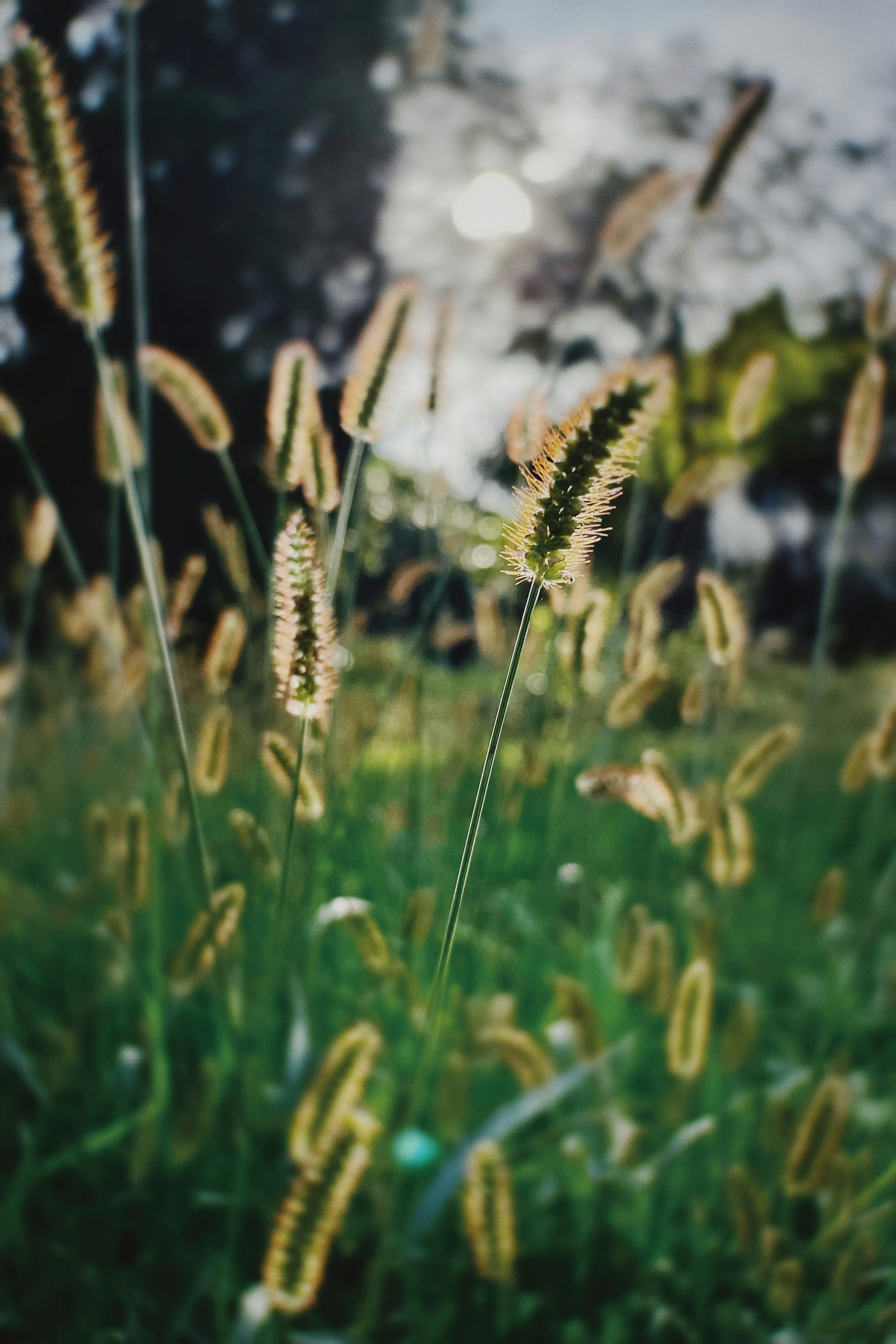 Photo by erichz_