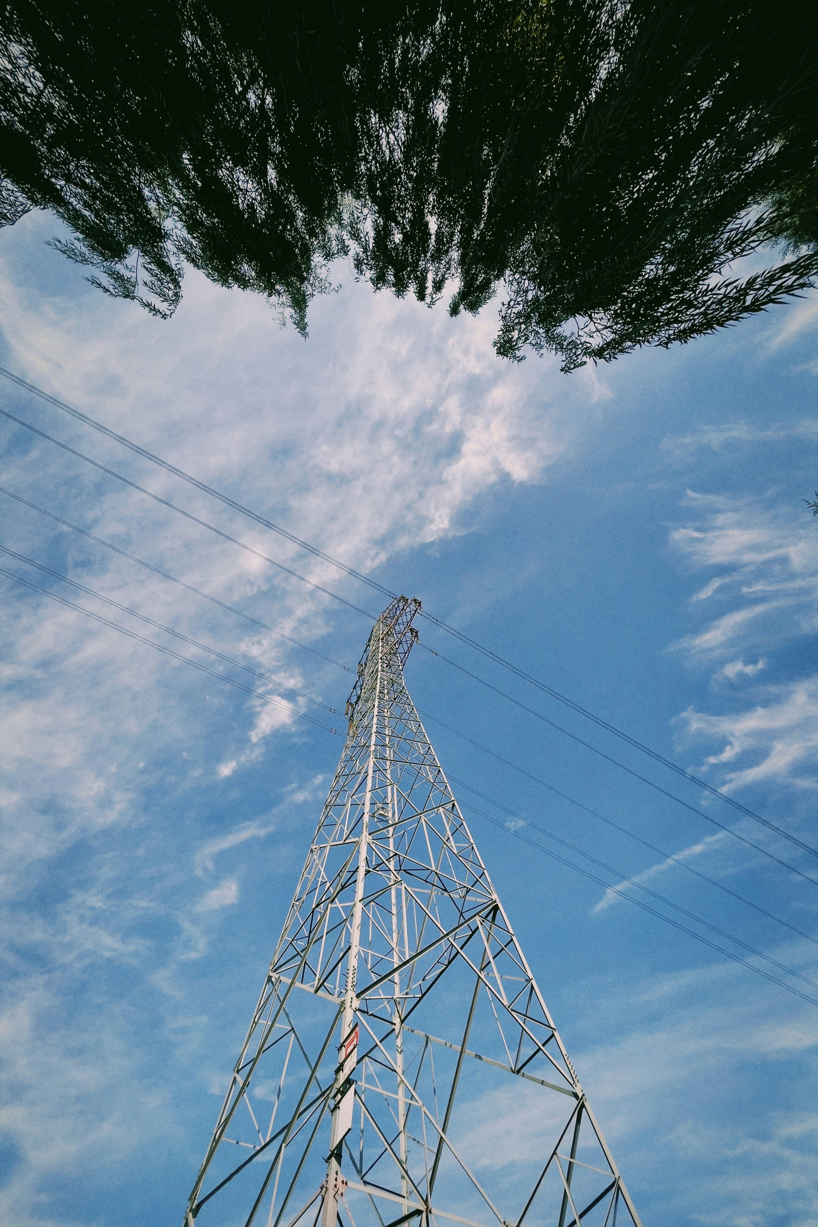 Photo 1632901402351 Cf8b9057a96e?q=80&w=687&auto=format&fit=crop&ixlib=rb 4.1