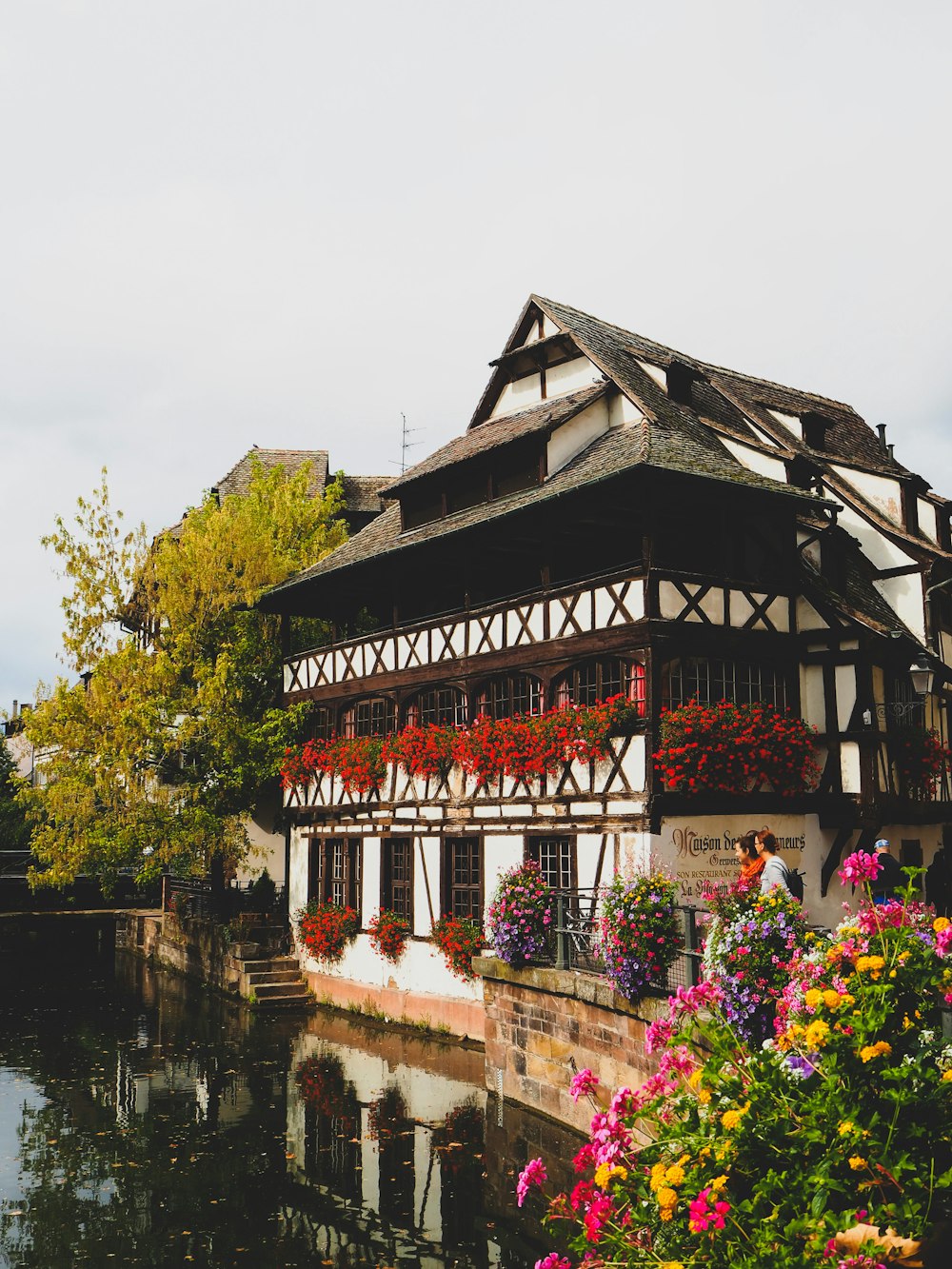 a house with flowers growing on the windows