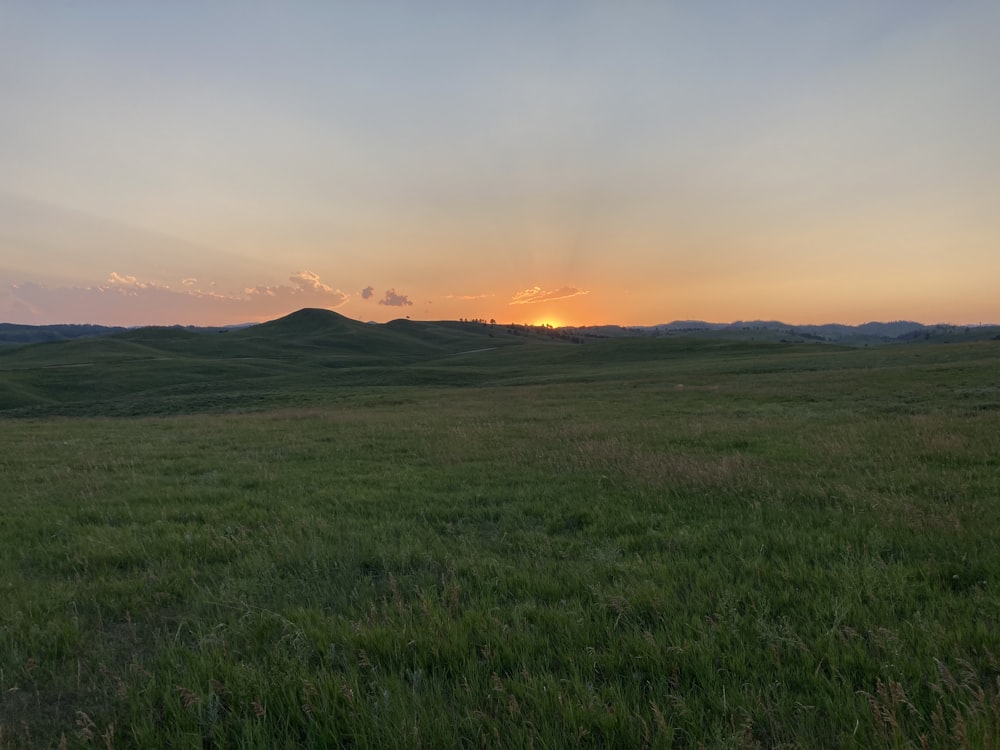 a grassy field with a sunset in the background