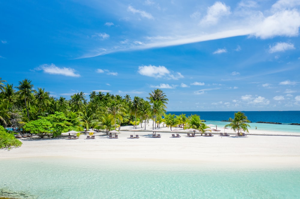 a white sandy beach surrounded by palm trees