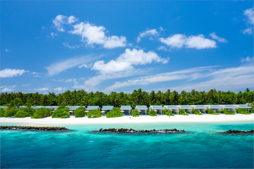 a white sandy beach surrounded by trees and water