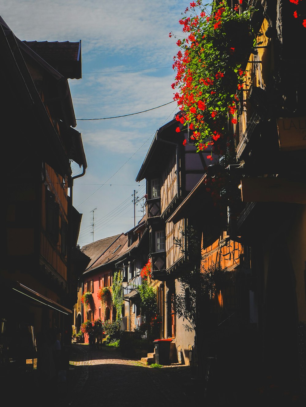 a narrow street lined with houses and trees