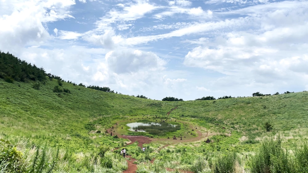 a small pond in the middle of a lush green field