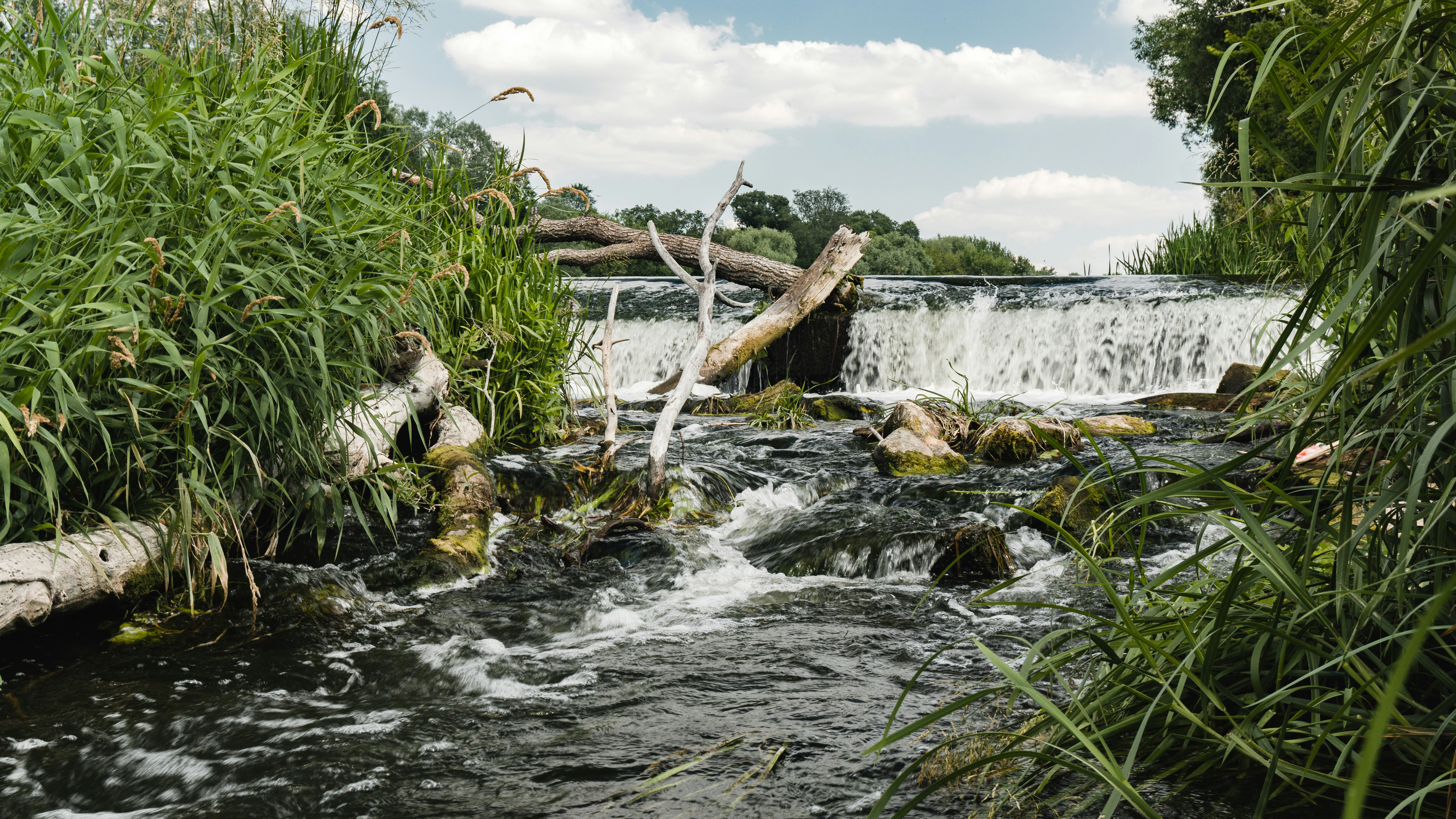 Image by Yuriy Vertikov via Unsplash