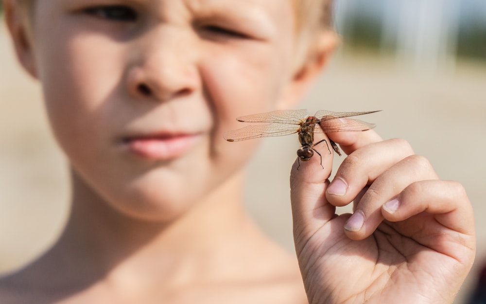 a young boy holding a small insect in his hand