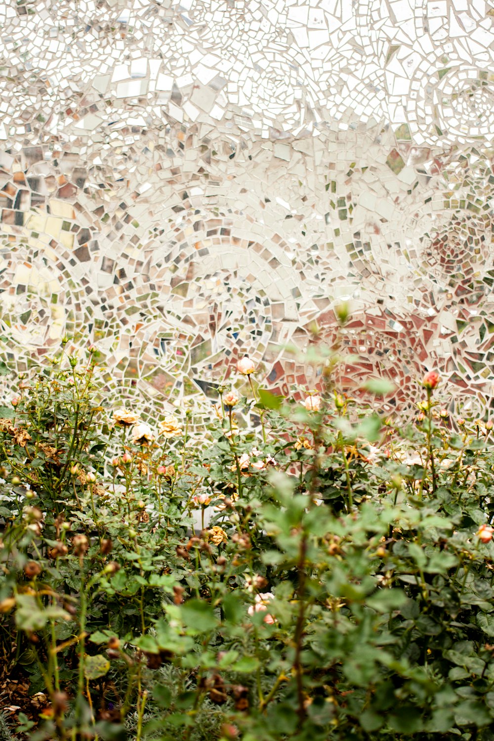 a field of flowers with a mosaic wall behind it