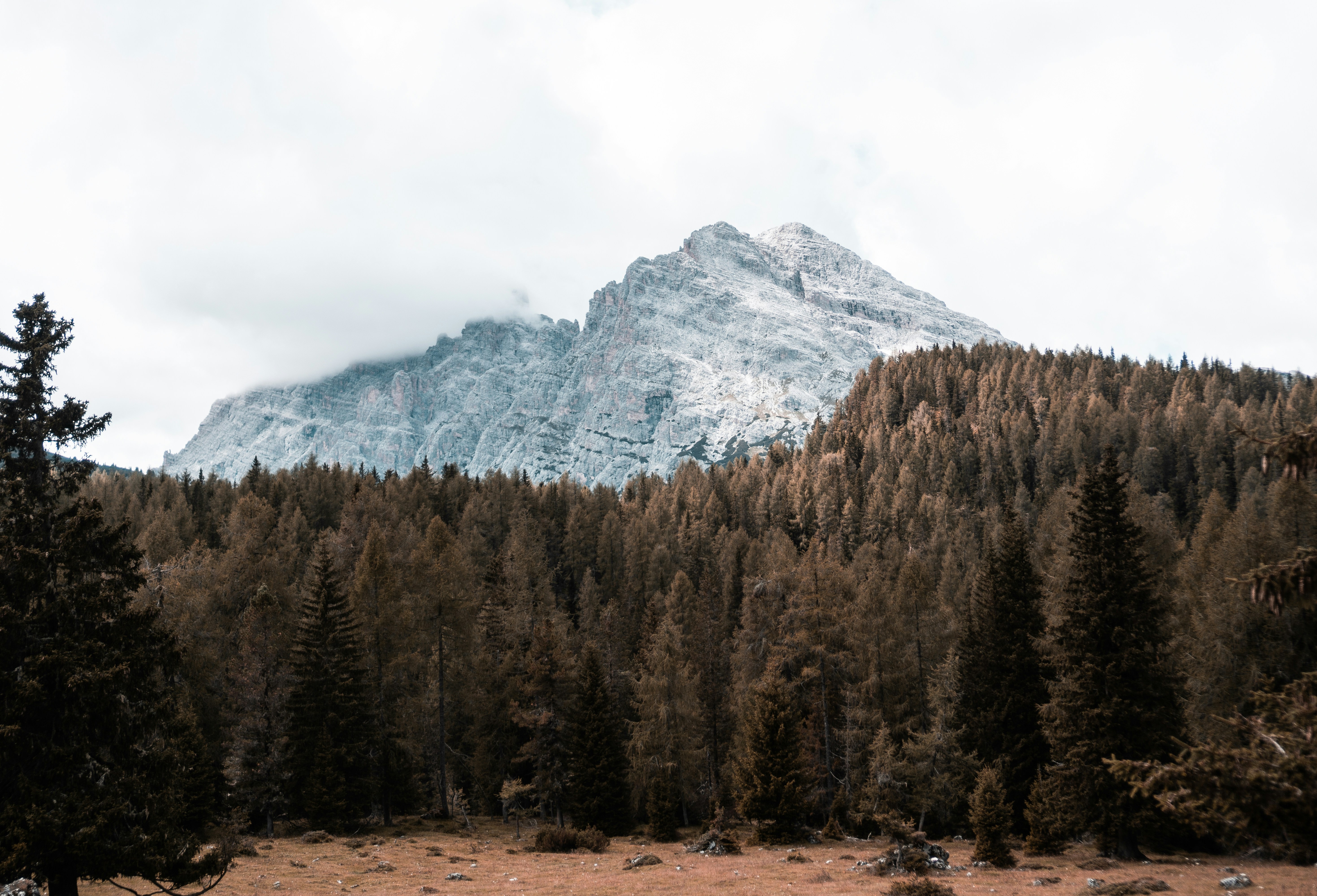 Photo by monikabalciuniene