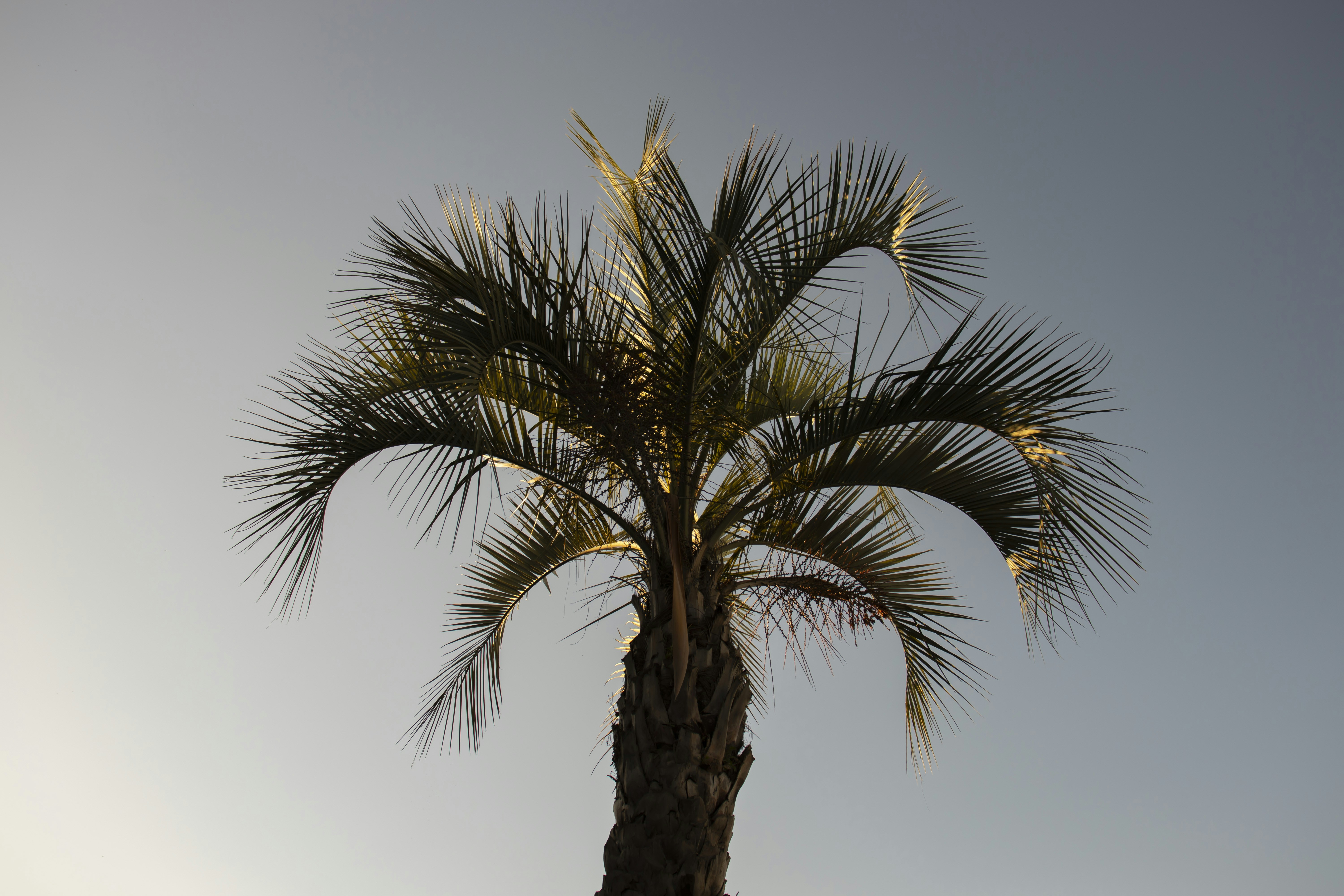 Photo by zatya_kubik