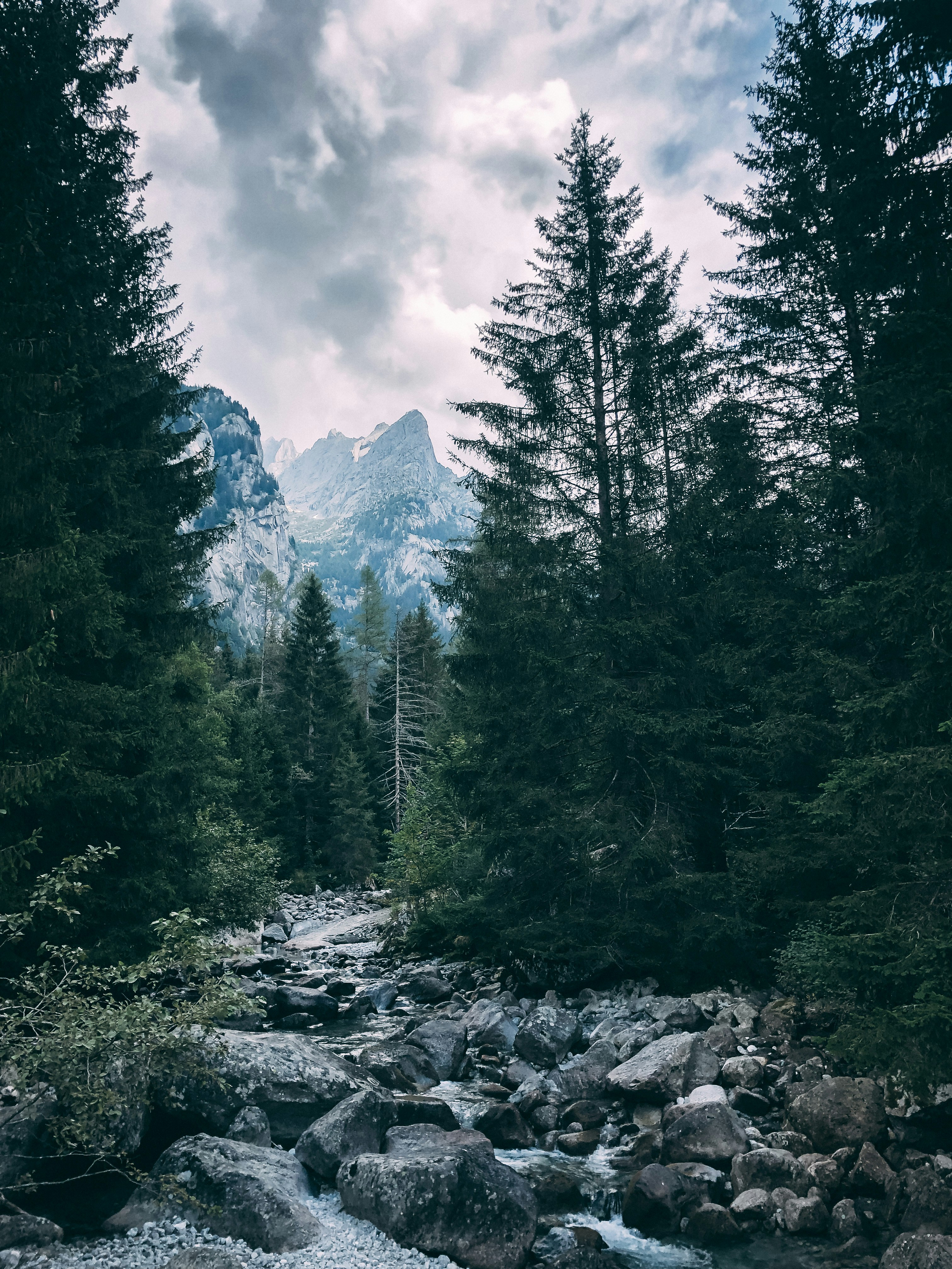 Photo by danielesalutari