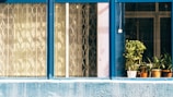 A series of windows with blue frames, some featuring decorative metal grilles and others showcasing several potted plants, with sunlight casting patterns through the glass.