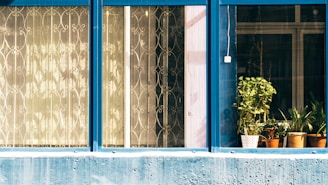A series of windows with blue frames, some featuring decorative metal grilles and others showcasing several potted plants, with sunlight casting patterns through the glass.