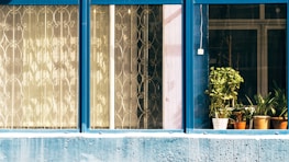 A series of windows with blue frames, some featuring decorative metal grilles and others showcasing several potted plants, with sunlight casting patterns through the glass.