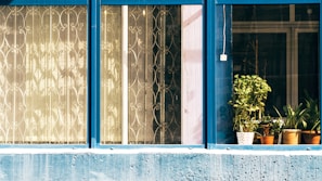 A series of windows with blue frames, some featuring decorative metal grilles and others showcasing several potted plants, with sunlight casting patterns through the glass.