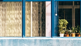 A series of windows with blue frames, some featuring decorative metal grilles and others showcasing several potted plants, with sunlight casting patterns through the glass.