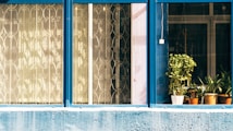 A series of windows with blue frames, some featuring decorative metal grilles and others showcasing several potted plants, with sunlight casting patterns through the glass.