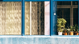 A series of windows with blue frames, some featuring decorative metal grilles and others showcasing several potted plants, with sunlight casting patterns through the glass.