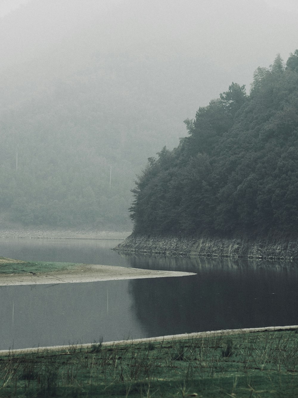 a large body of water surrounded by a forest