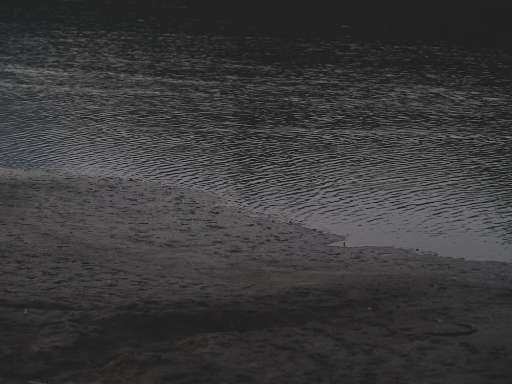 a person standing on a beach next to a body of water