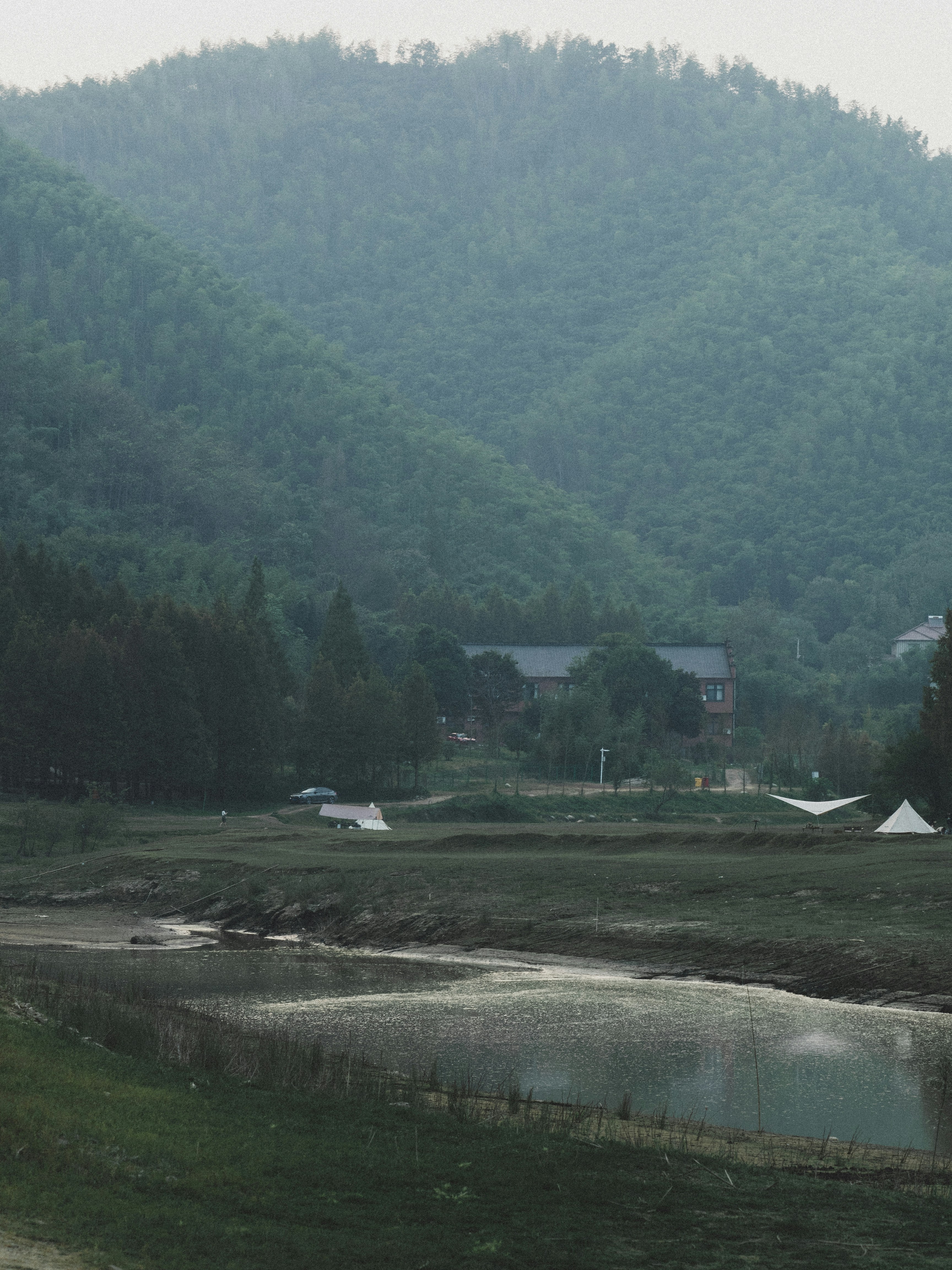 a horse grazing in a field with a mountain in the background