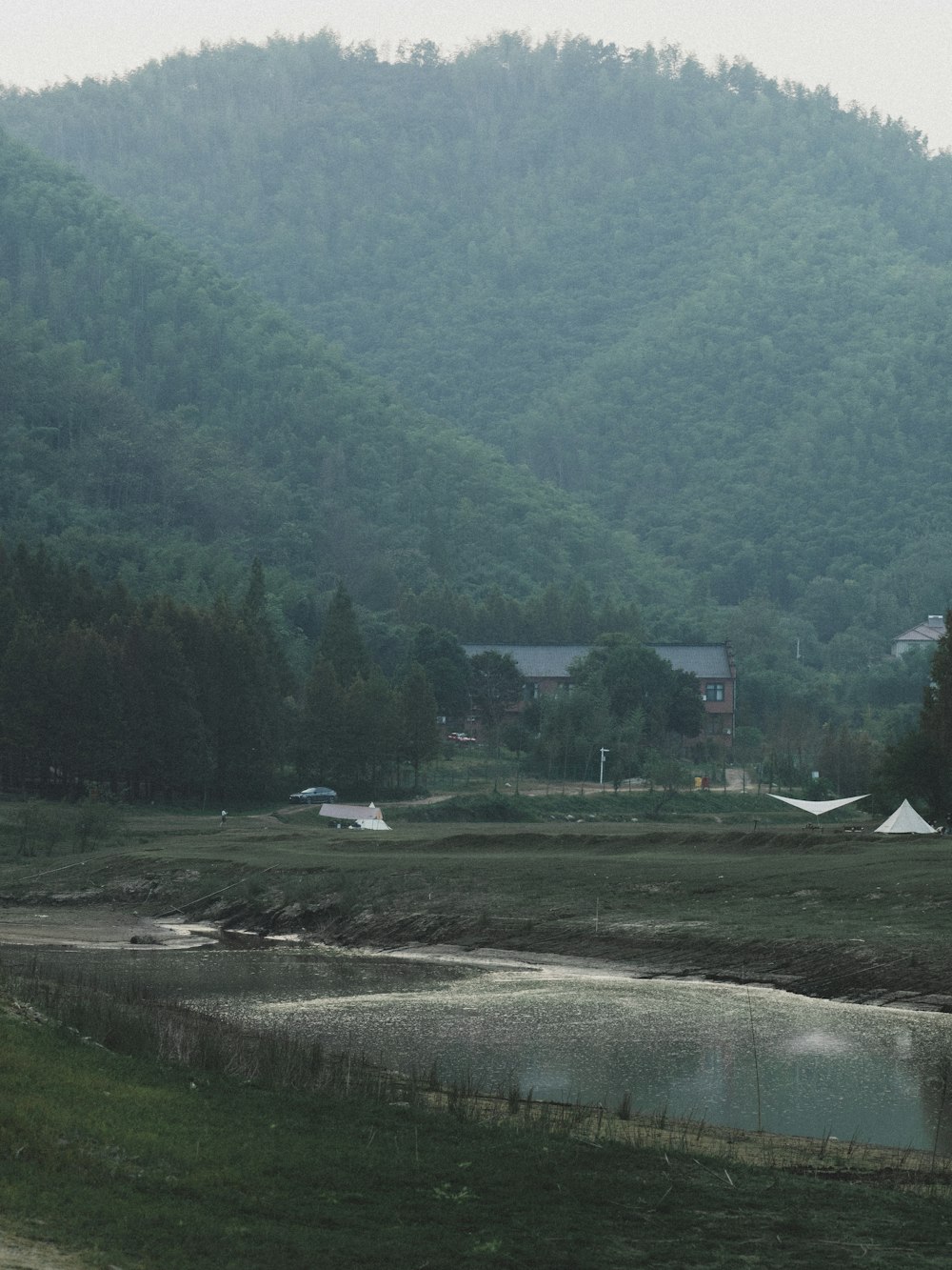 a horse grazing in a field with a mountain in the background