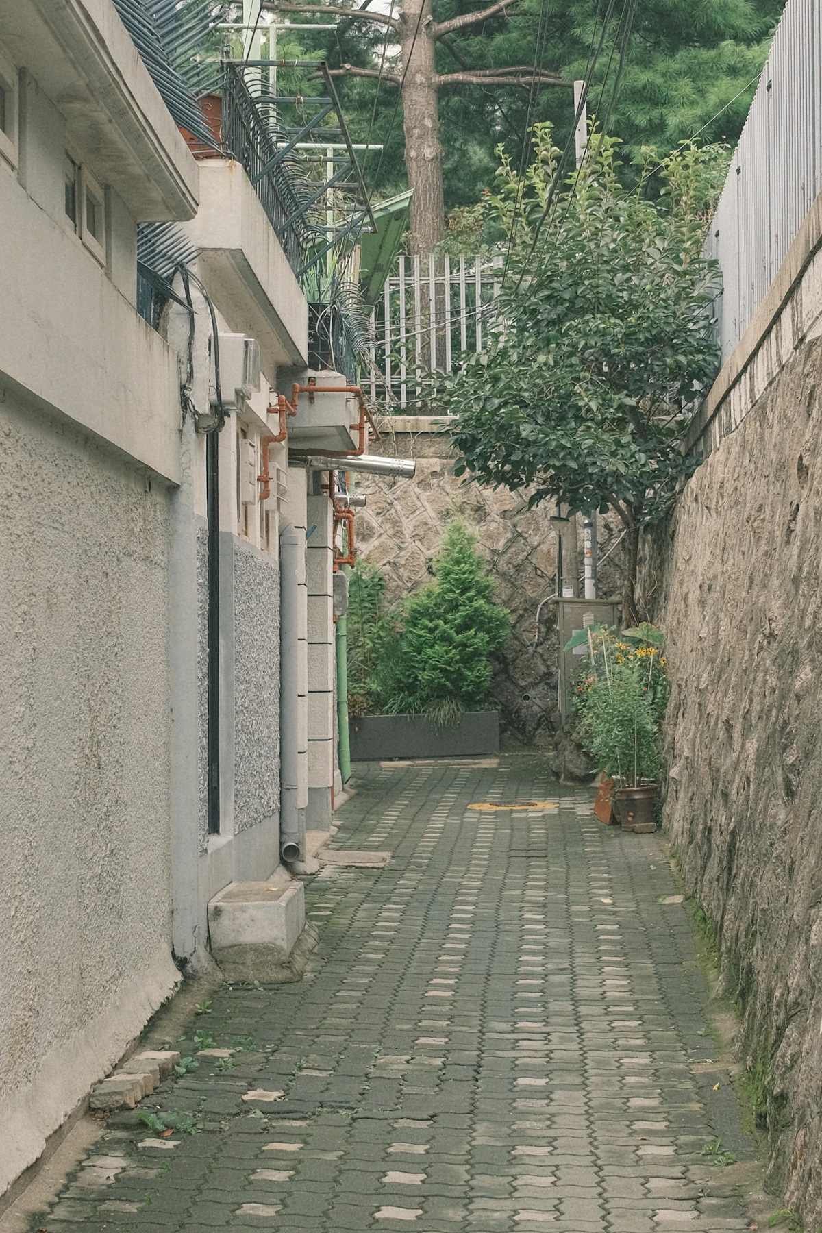 A traveler walking down a hanok-lined alley in Bukchon