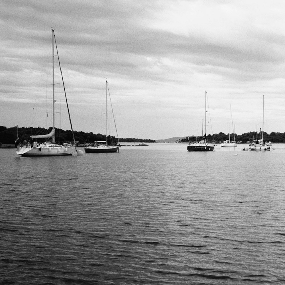 a black and white photo of sailboats in the water