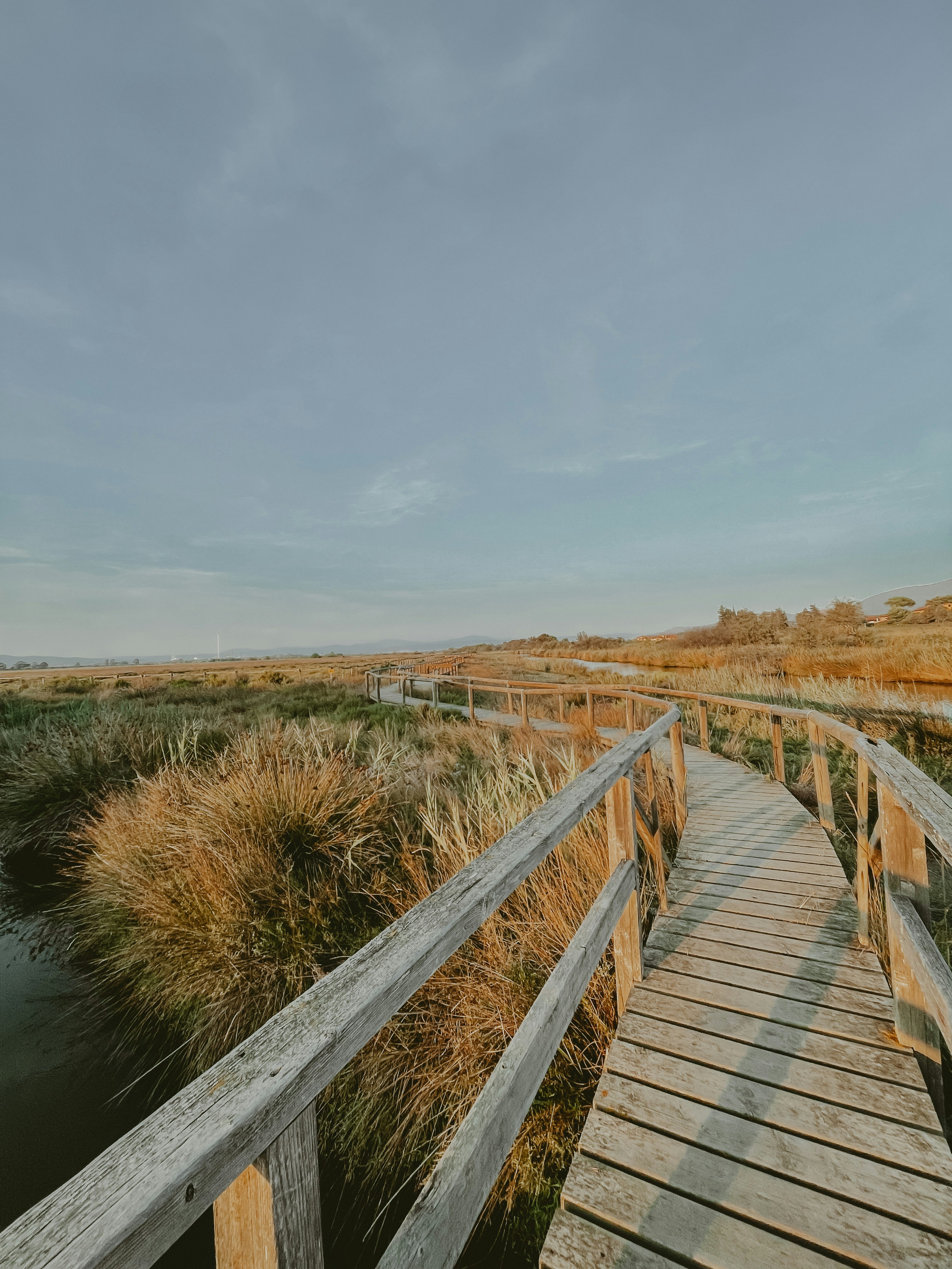 Photo by aliceciurli